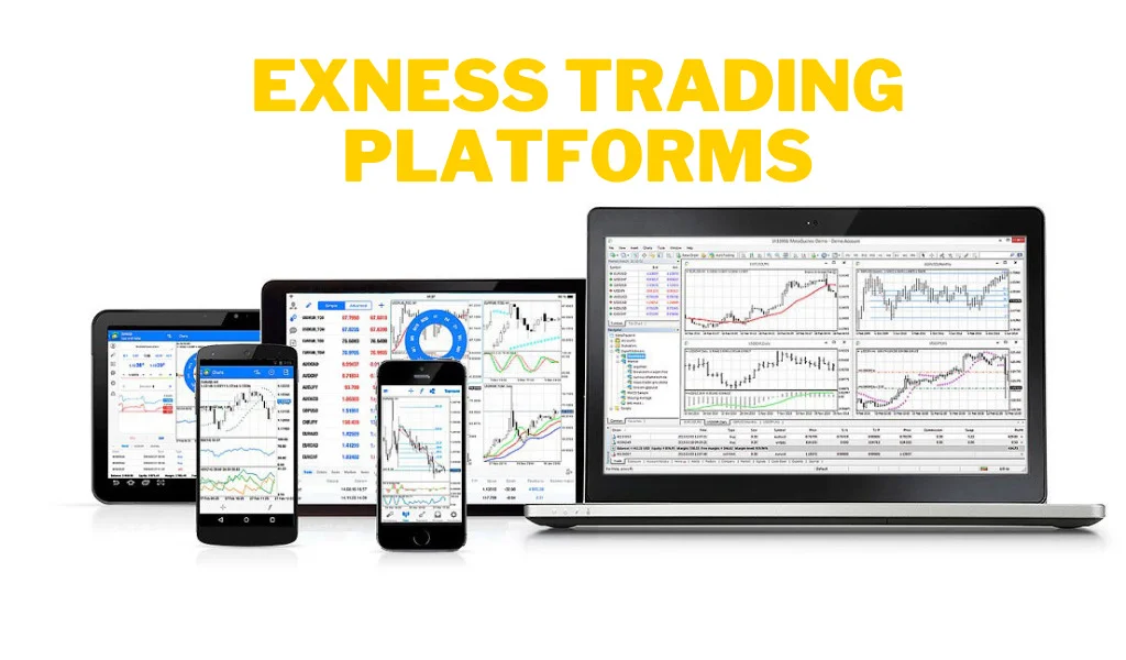 Support MT4 and MT5 trading支持 MT4同 MT5交易