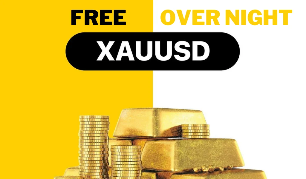 Exness offers free overnight services for Muslim clients and certain other types of traders.Exness 為穆斯林客戶同某啲其他類型嘅商人提供免費過夜服務。