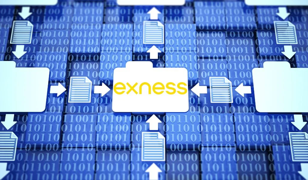 The Exness personal area is divided into two main sectionsExness 個人區主要分為兩個部分