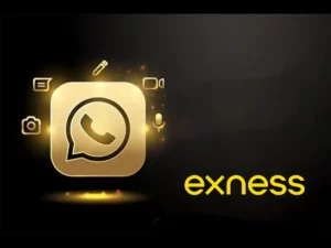 Exness Support: Professional Team for Easy Trading Problem SolutionsExness 支援：專業團隊，輕鬆解決交易問題
