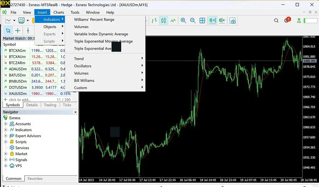 Inserts include tools for drawing, marking, writing, etc. as well as support for technical indicators.插入內容包括繪圖、標記、寫作等工具,同埋技術指標嘅支援。